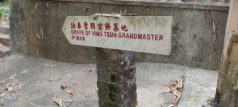 hong kong kung fu academy di Sifu Salvatore Mezzone, arti marziali wing chun, weng chun GM Michael Tang, tai chi quan, sanda e sport da combattimento, shaolin cina (1)